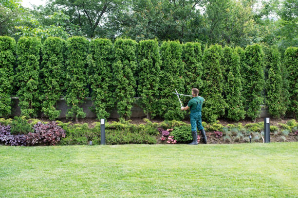 Best Pest Control for Lawns  in Lansford, PA